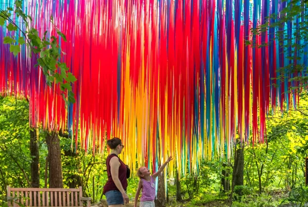 Wide angle shot of mother and daughter looking up at Pliny's Allee aerial artwork, part of Poetic Kinetics' Skynet Series, at New England Botanic Garden.